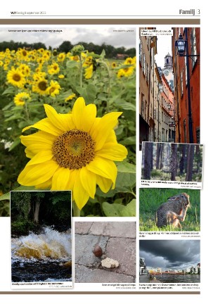 vestmanlandslanstidning_b-20230908_000_00_00_003.pdf