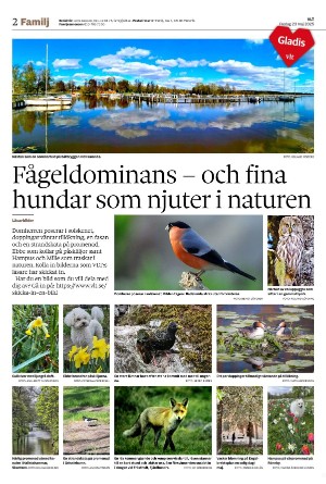 vestmanlandslanstidning_b-20250523_000_00_00_002.pdf