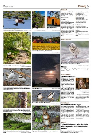 vestmanlandslanstidning_b-20250530_000_00_00_003.pdf