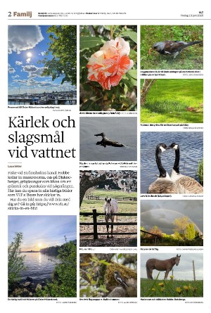vestmanlandslanstidning_b-20250613_000_00_00_002.pdf