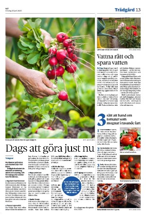 vestmanlandslanstidning_b-20250625_000_00_00_013.pdf