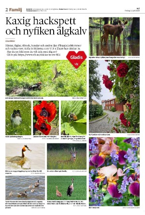 vestmanlandslanstidning_b-20250711_000_00_00_002.pdf