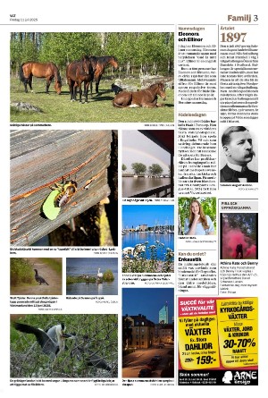 vestmanlandslanstidning_b-20250711_000_00_00_003.pdf