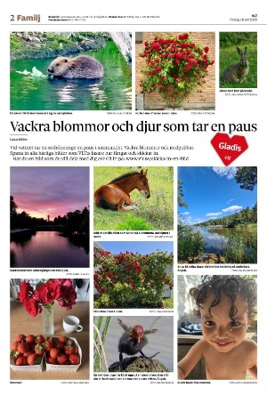 vestmanlandslanstidning_b-20250718_000_00_00_002.pdf