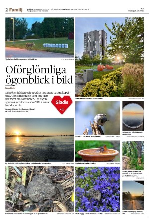 vestmanlandslanstidning_b-20250725_000_00_00_002.pdf