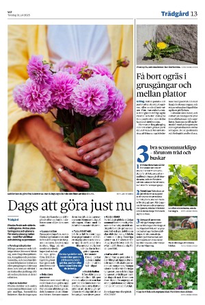 vestmanlandslanstidning_b-20250731_000_00_00_013.pdf