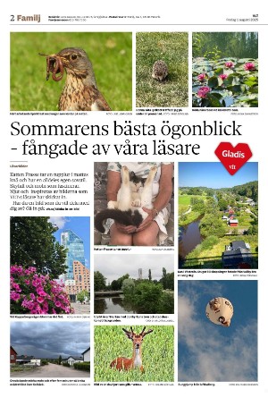 vestmanlandslanstidning_b-20250801_000_00_00_002.pdf