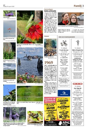 vestmanlandslanstidning_b-20250815_000_00_00_003.pdf