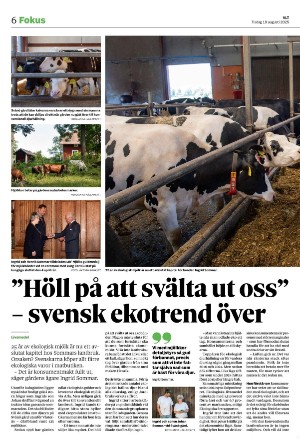 vestmanlandslanstidning_b-20250819_000_00_00_006.pdf