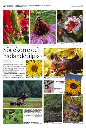 vestmanlandslanstidning_b-20250905_000_00_00_002.pdf