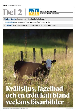 vestmanlandslanstidning_b-20250912_000_00_00.pdf