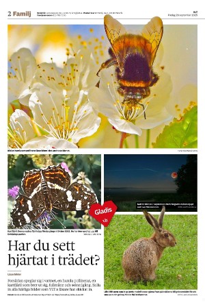vestmanlandslanstidning_b-20250926_000_00_00_002.pdf