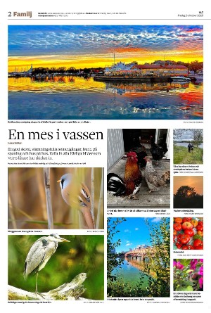vestmanlandslanstidning_b-20251003_000_00_00_002.pdf