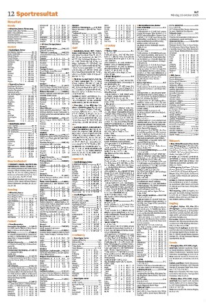 vestmanlandslanstidning_b-20251013_000_00_00_012.pdf