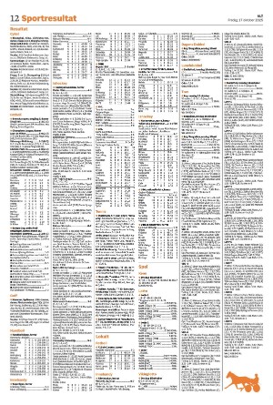 vestmanlandslanstidning_b-20251017_000_00_00_012.pdf