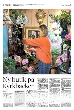 vestmanlandslanstidning_b-20251025_000_00_00_002.pdf vestmanlandslanstidning_b-20251025_000_00_00_002.pdf