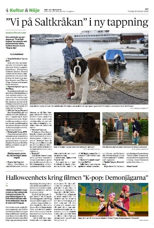 vestmanlandslanstidning_b-20251030_000_00_00_004.pdf