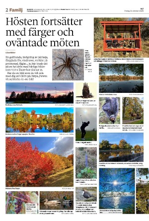 vestmanlandslanstidning_b-20251031_000_00_00_002.pdf vestmanlandslanstidning_b-20251031_000_00_00_002.pdf