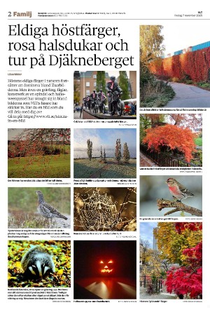 vestmanlandslanstidning_b-20251107_000_00_00_002.pdf