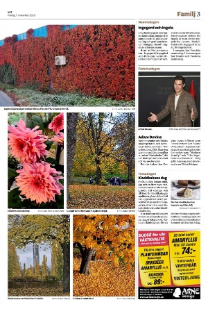 vestmanlandslanstidning_b-20251107_000_00_00_003.pdf