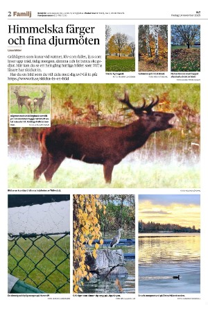 vestmanlandslanstidning_b-20251114_000_00_00_002.pdf