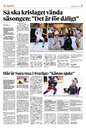 vestmanlandslanstidning_b-20251115_000_00_00_014.pdf