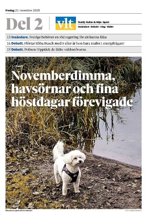 vestmanlandslanstidning_b-20251121_000_00_00.pdf