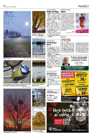 vestmanlandslanstidning_b-20251121_000_00_00_003.pdf