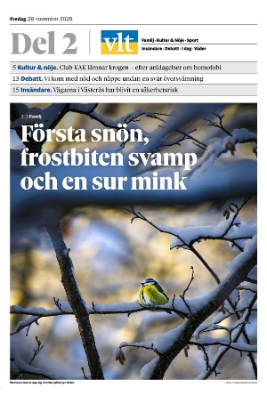 vestmanlandslanstidning_b-20251128_000_00_00.pdf