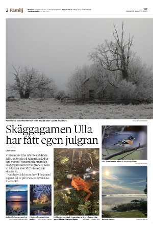 vestmanlandslanstidning_b-20251219_000_00_00_002.pdf