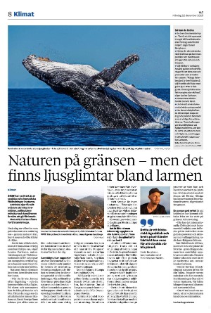 vestmanlandslanstidning_b-20251222_000_00_00_008.pdf