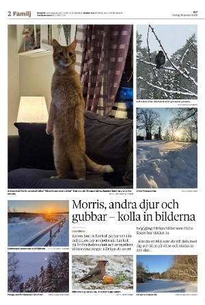 vestmanlandslanstidning_b-20260130_000_00_00_002.pdf