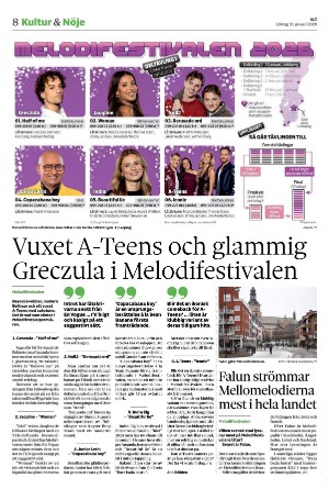 vestmanlandslanstidning_b-20260131_000_00_00_008.pdf