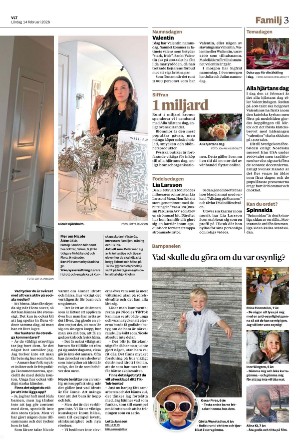 vestmanlandslanstidning_b-20260214_000_00_00_003.pdf