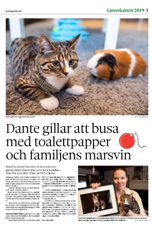 vestmanlandslanstidning_bilag-20251213_000_00_00_003.pdf