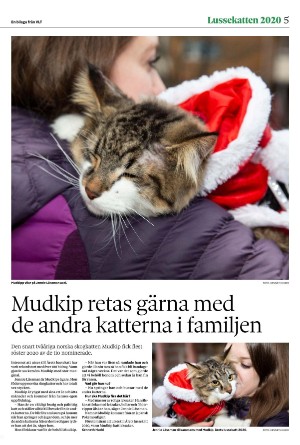 vestmanlandslanstidning_bilag-20251213_000_00_00_005.pdf