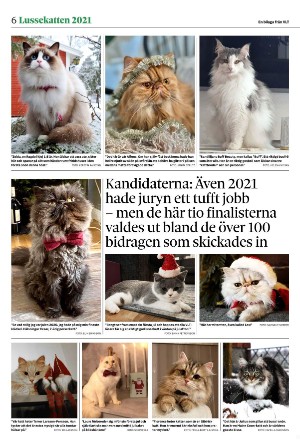 vestmanlandslanstidning_bilag-20251213_000_00_00_006.pdf