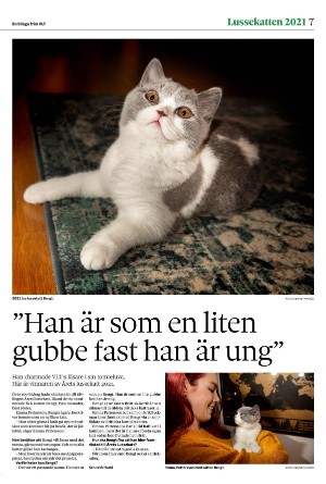 vestmanlandslanstidning_bilag-20251213_000_00_00_007.pdf