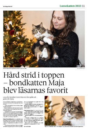 vestmanlandslanstidning_bilag-20251213_000_00_00_011.pdf