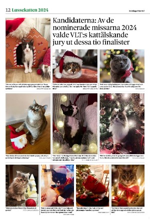 vestmanlandslanstidning_bilag-20251213_000_00_00_012.pdf