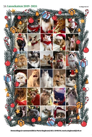 vestmanlandslanstidning_bilag-20251213_000_00_00_014.pdf