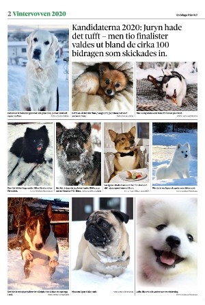 vestmanlandslanstidning_bilag-20260207_000_00_00_002.pdf