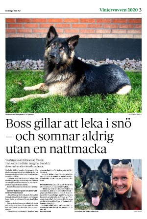 vestmanlandslanstidning_bilag-20260207_000_00_00_003.pdf