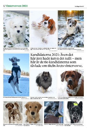 vestmanlandslanstidning_bilag-20260207_000_00_00_004.pdf