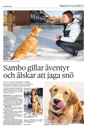 vestmanlandslanstidning_bilag-20260207_000_00_00_005.pdf