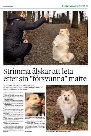 vestmanlandslanstidning_bilag-20260207_000_00_00_009.pdf