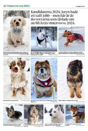 vestmanlandslanstidning_bilag-20260207_000_00_00_010.pdf