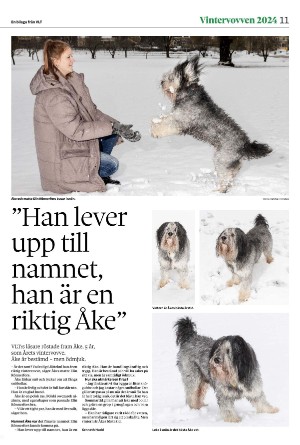 vestmanlandslanstidning_bilag-20260207_000_00_00_011.pdf