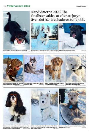 vestmanlandslanstidning_bilag-20260207_000_00_00_012.pdf