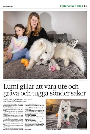 vestmanlandslanstidning_bilag-20260207_000_00_00_013.pdf